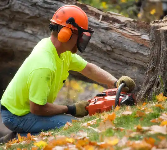 tree services Kuttawa